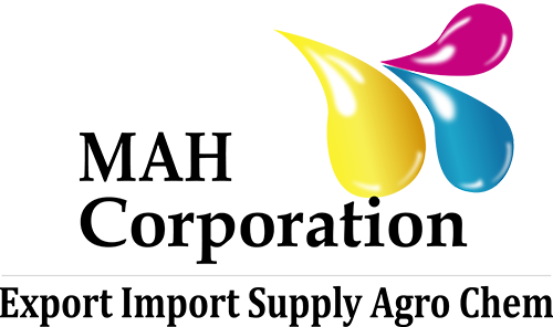 Future Venture Logo